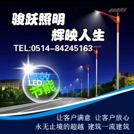 智慧之光 景觀燈廠家借力互聯(lián)網(wǎng)數(shù)據(jù)服務(wù)開拓市場新藍(lán)海